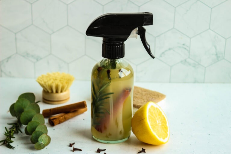 Homemade Herbal Thieves Cleaner Recipe